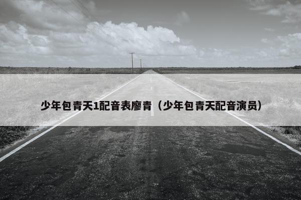 少年包青天1配音表廖青（少年包青天配音演员）