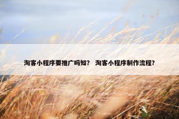 淘客小程序要推广吗知？ 淘客小程序制作流程？