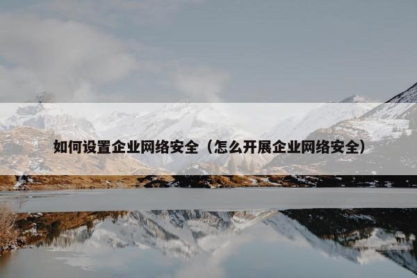 如何设置企业网络安全（怎么开展企业网络安全）