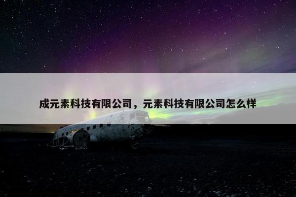 成元素科技有限公司，元素科技有限公司怎么样