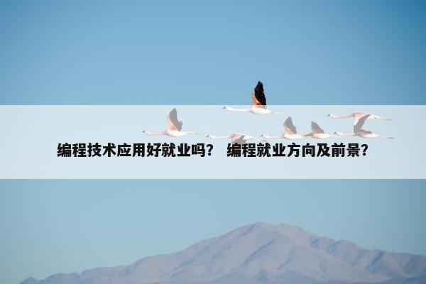 编程技术应用好就业吗？ 编程就业方向及前景？