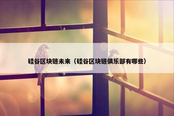 硅谷区块链未来（硅谷区块链俱乐部有哪些）