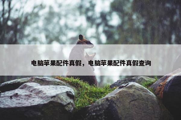 电脑苹果配件真假，电脑苹果配件真假查询