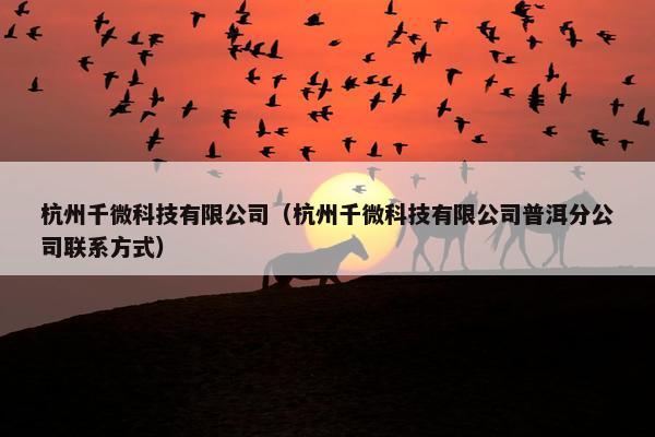 杭州千微科技有限公司（杭州千微科技有限公司普洱分公司联系方式）