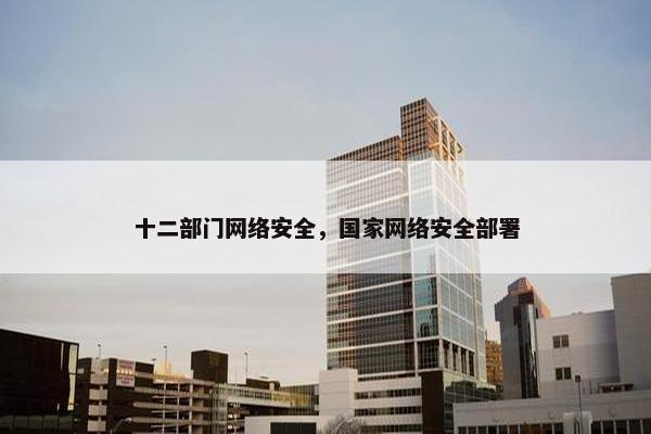 十二部门网络安全，国家网络安全部署