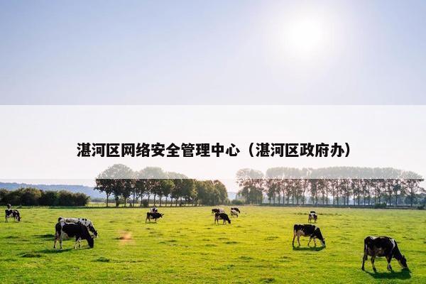 湛河区网络安全管理中心（湛河区政府办）