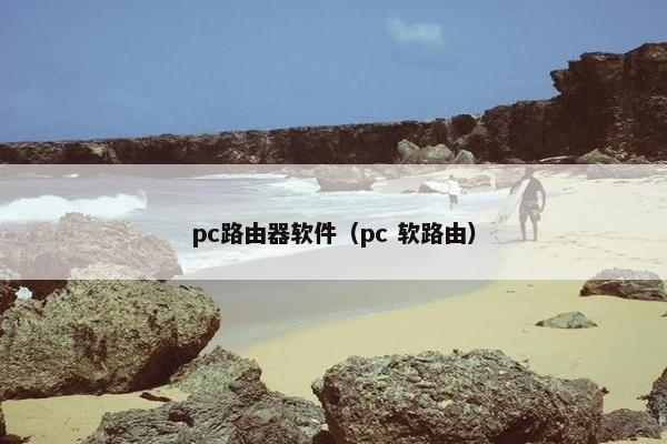 pc路由器软件（pc 软路由）