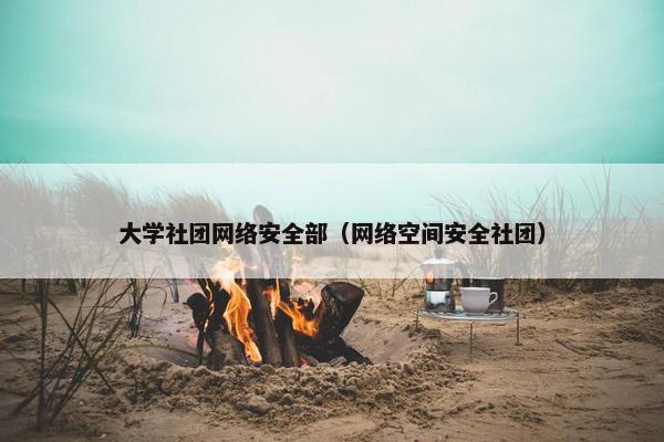 大学社团网络安全部（网络空间安全社团）