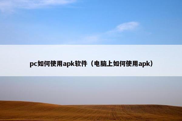 pc如何使用apk软件（电脑上如何使用apk）