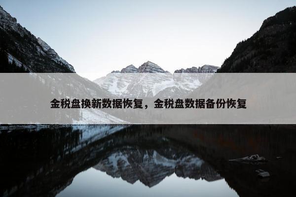 金税盘换新数据恢复，金税盘数据备份恢复