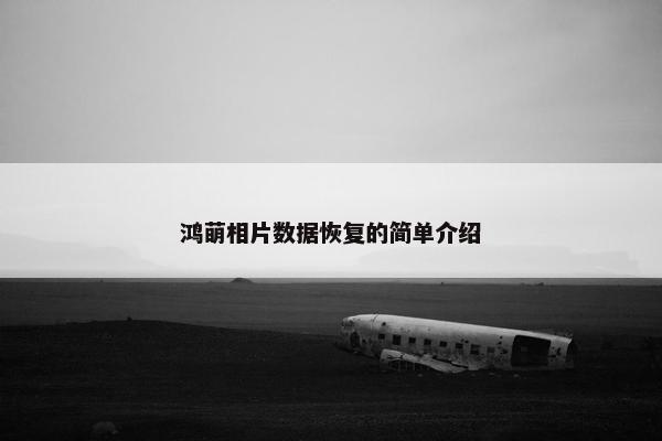 鸿萌相片数据恢复的简单介绍 鸿萌相片数据恢复的简单介绍