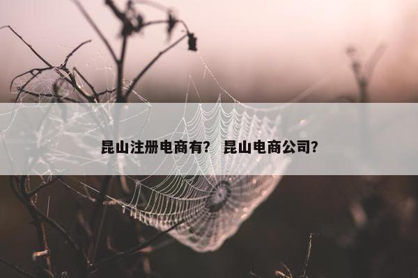 昆山注册电商有？ 昆山电商公司？