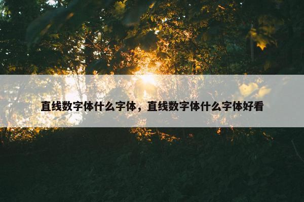直线数字体什么字体，直线数字体什么字体好看