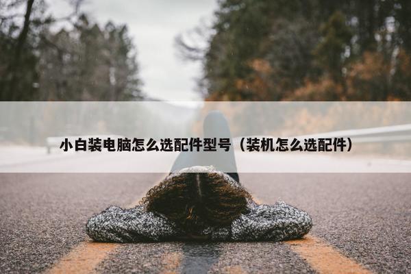 小白装电脑怎么选配件型号（装机怎么选配件）