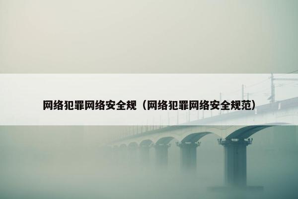 网络犯罪网络安全规（网络犯罪网络安全规范）