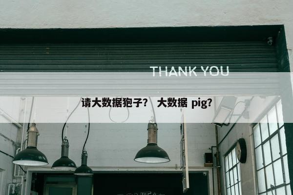 请大数据狍子？ 大数据 pig？
