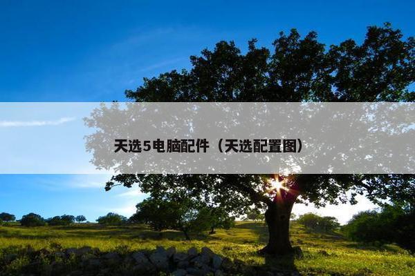 天选5电脑配件（天选配置图）