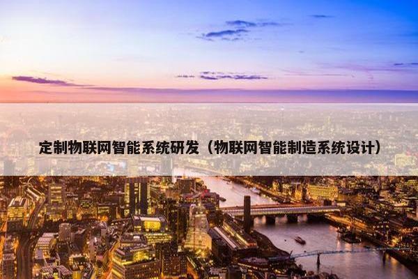 定制物联网智能系统研发（物联网智能制造系统设计）
