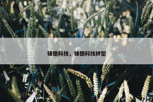 铼德科技，铼德科技转型