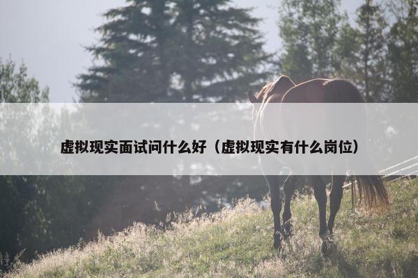 虚拟现实面试问什么好（虚拟现实有什么岗位）