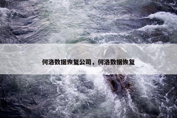 何洛数据恢复公司，何洛数据恢复