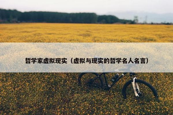 哲学家虚拟现实（虚拟与现实的哲学名人名言）