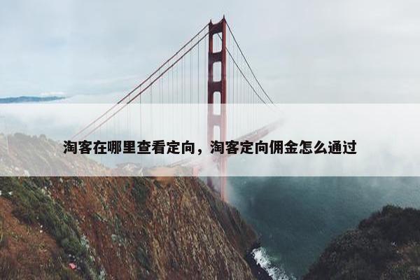 淘客在哪里查看定向，淘客定向佣金怎么通过