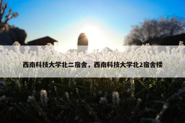 西南科技大学北二宿舍，西南科技大学北2宿舍楼