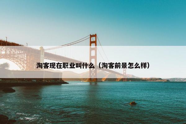 淘客现在职业叫什么（淘客前景怎么样）