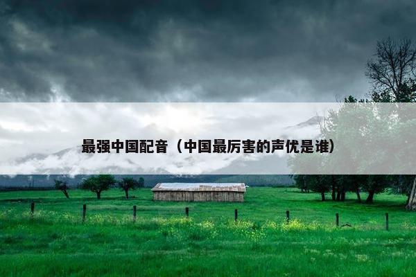 最强中国配音（中国最厉害的声优是谁）