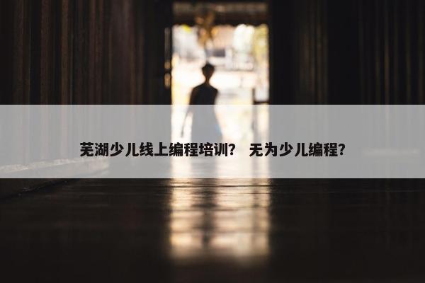 芜湖少儿线上编程培训？ 无为少儿编程？