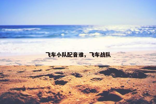 飞车小队配音谁，飞车战队