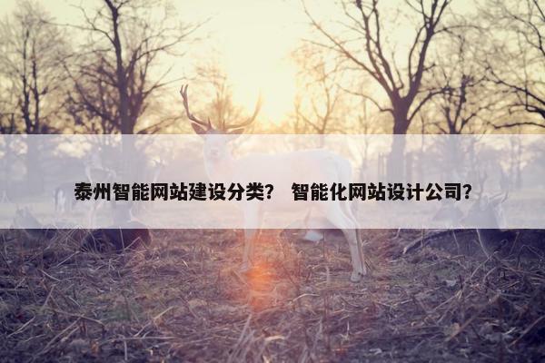 泰州智能网站建设分类？ 智能化网站设计公司？