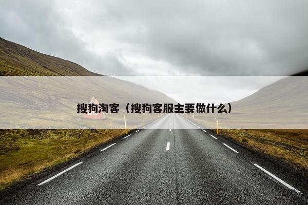 搜狗淘客（搜狗客服主要做什么）
