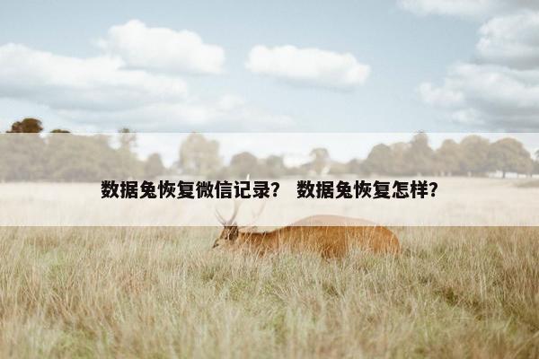 数据兔恢复微信记录？ 数据兔恢复怎样？
