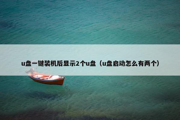 u盘一键装机后显示2个u盘（u盘启动怎么有两个）