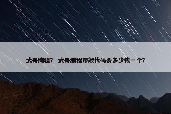 武哥编程？ 武哥编程带敲代码要多少钱一个？