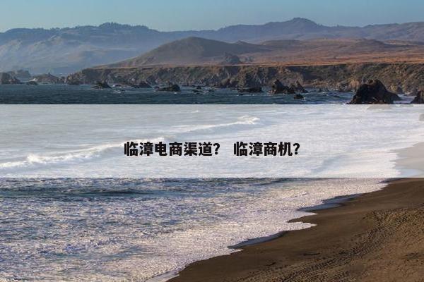 临漳电商渠道？ 临漳商机？