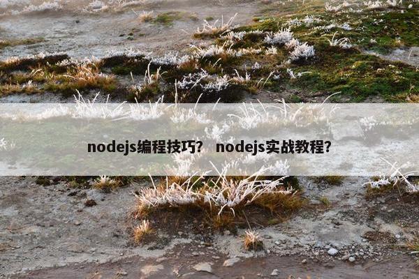 nodejs编程技巧？ nodejs实战教程？