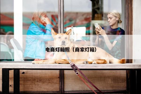 电商灯箱照（商家灯箱）