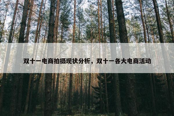 双十一电商拍摄现状分析，双十一各大电商活动