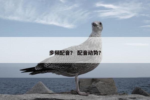 步频配音？ 配音动势？