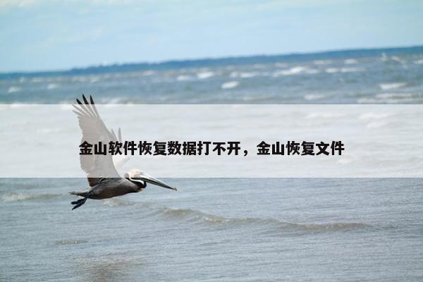 金山软件恢复数据打不开，金山恢复文件