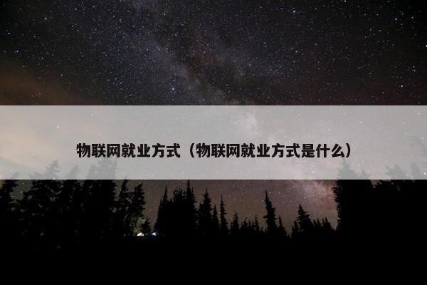 物联网就业方式（物联网就业方式是什么）