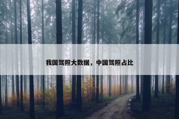 我国驾照大数据，中国驾照占比