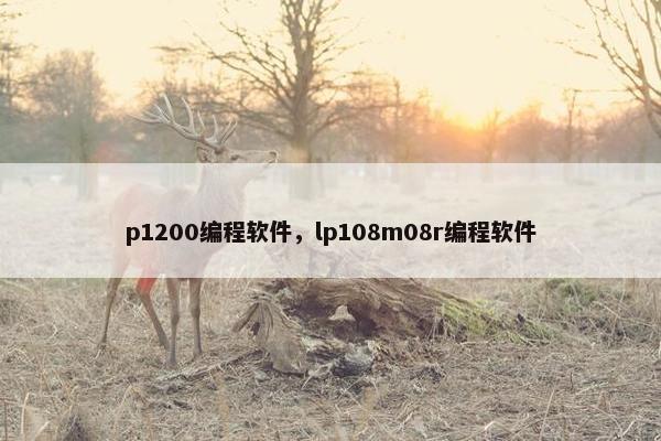 p1200编程软件，lp108m08r编程软件