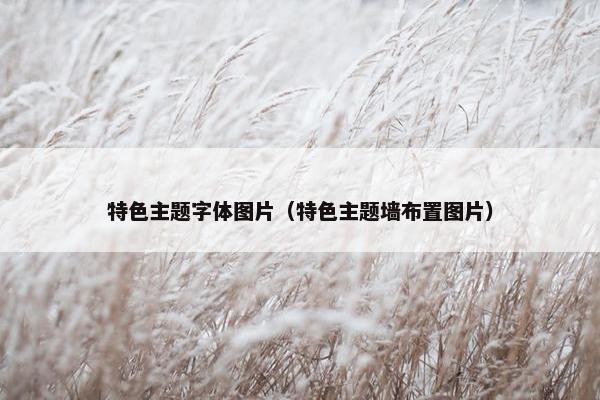 特色主题字体图片（特色主题墙布置图片）