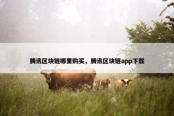 腾讯区块链哪里购买，腾讯区块链app下载