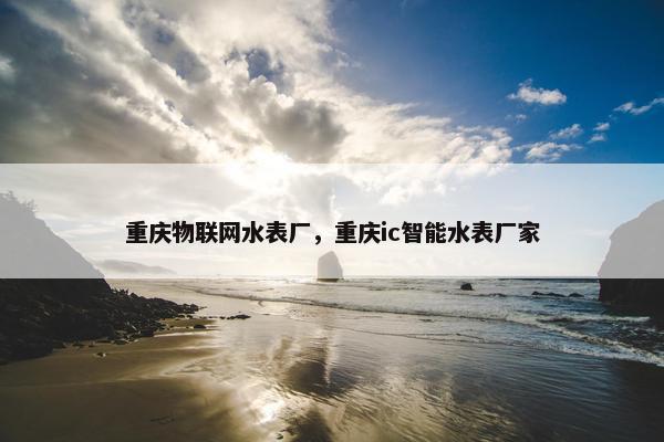 重庆物联网水表厂，重庆ic智能水表厂家
