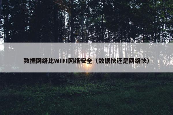 数据网络比WIFI网络安全（数据快还是网络快）